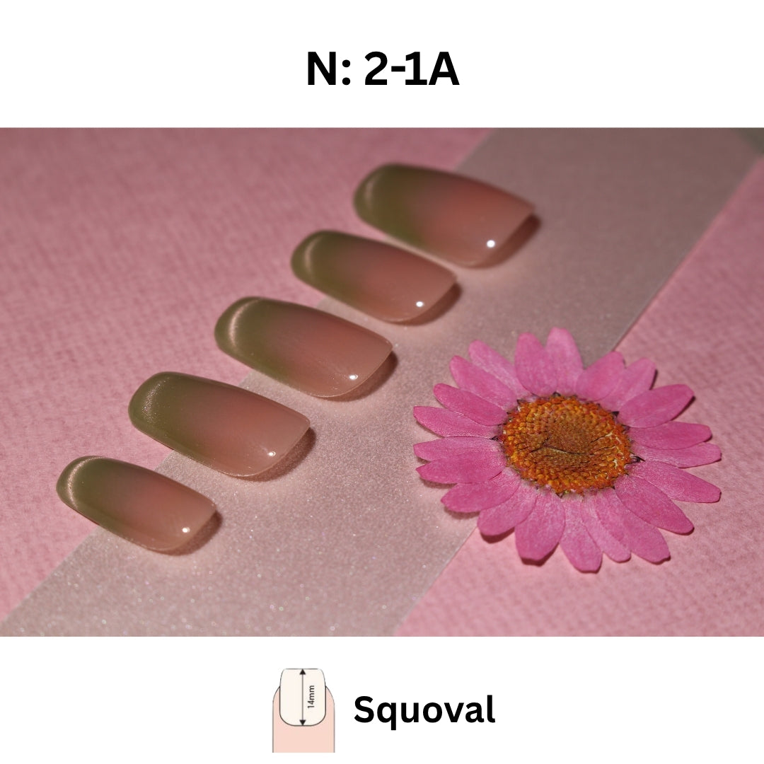 🌿 N°2-1 - Sage Ombre Squoval Press-On Nails